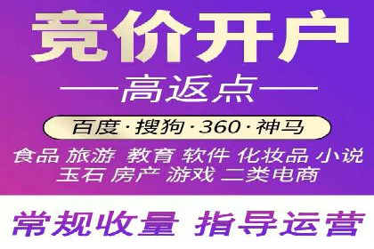 推广竞价策略解析：成功案例分享